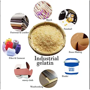 Food and Pharma Grade Bovine Beef Gelatin With Halal Certificate